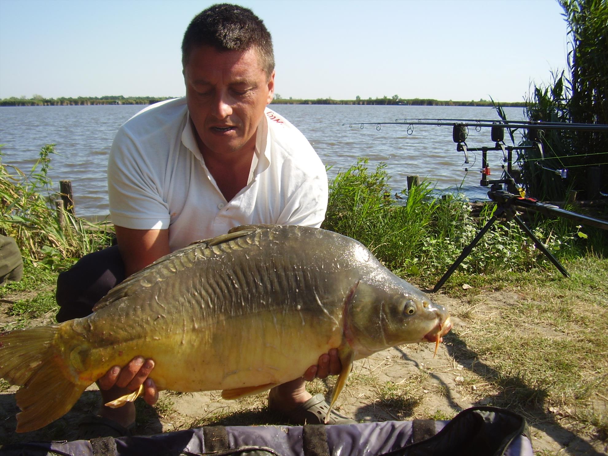 Alejandro Carp Team - Ohat Ungaria 2013 - p5070026.JPG